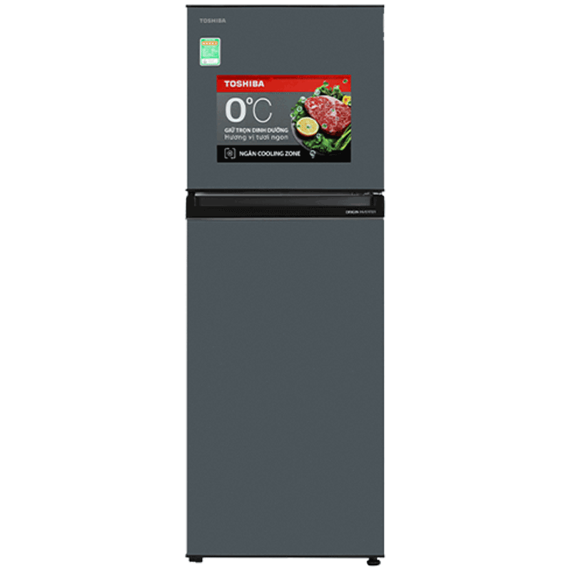 Tủ lạnh Toshiba Inverter 233L GR-RT303WE-PMV